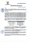 Vista preliminar de documento RD 023-2024-DG-INSM-HD-HN