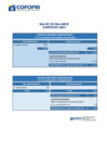 Vista preliminar de documento Saldo de Balance 2023