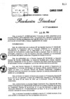 Vista preliminar de documento R.D.  Nro 080-2004-MEM-AAE