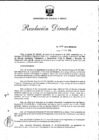 Vista preliminar de documento R.D. Nro 057-2010-MEM-AAE