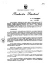 Vista preliminar de documento RESOLUCION DIRECTORAL N° 480-2006-MEM/AAE
