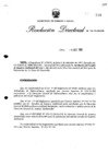 Vista preliminar de documento RESOLUCIÓN DIRECTORAL N°102-95-EM/DGH
