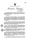 Vista preliminar de documento RESOLUCIÓN DIRECTORAL N° 153-2005-MEM/AAE