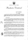 Vista preliminar de documento RESOLUCION DIRECTORAL Nº 007-2010-MEM/AAE