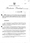 Vista preliminar de documento R.D. Nro 100-95-EM-DGH