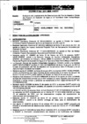 Vista preliminar de documento R.D. Nro 001-2011-MEM-AAE