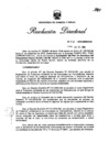 Vista preliminar de documento R.D. Nro 541-2006-MEM/AAE
