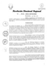 Vista preliminar de documento RDR Nº 0046-2024-GRSM-DRE