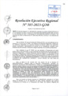 Vista preliminar de documento RER 585-2023-GOB