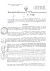 Vista preliminar de documento RD N°0013