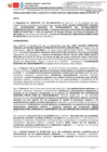 Vista preliminar de documento RD 001-2024
