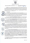Vista preliminar de documento RGSR N°20-2024