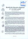 Vista preliminar de documento RER 524-2023-GOB