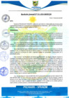 Vista preliminar de documento rgm11