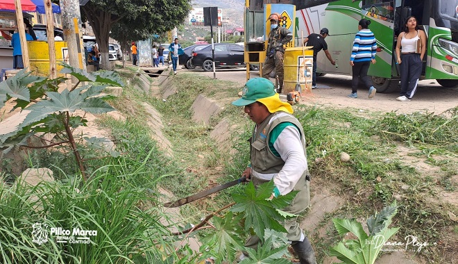 Trabajo de embellecimiento en la Av. Universitaria