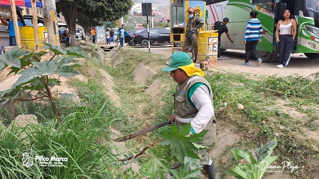 Trabajo de embellecimiento en la Av. Universitaria