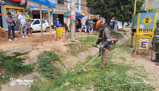 Trabajo de embellecimiento en la Av. Universitaria