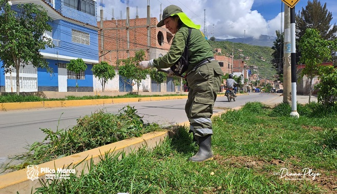 Trabajo de embellecimiento en la Av. Universitaria