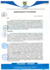Vista preliminar de documento rgm14
