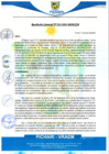 Vista preliminar de documento rgm16