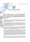 Vista preliminar de documento RD Nº 043-2023-DE-HJATCH PLAN DE TRABAJO PPR 0002 MATERNONEONATAL