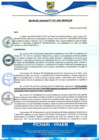 Vista preliminar de documento rgm31
