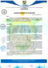 Vista preliminar de documento rgmfr 33
