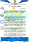 Vista preliminar de documento rgm35