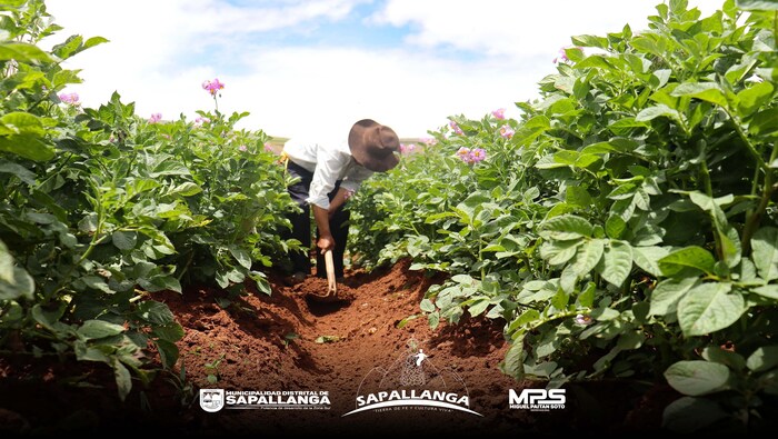 Jovenes demostraron su destreza en el campo para ser el nuevo Aclay Mozo 2024