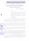 Vista preliminar de documento RDR N° 032