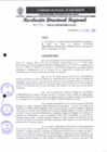 Vista preliminar de documento RDR N° 038
