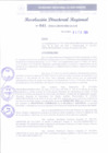 Vista preliminar de documento RDR N° 041
