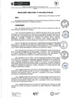 Vista preliminar de documento rd46-2024