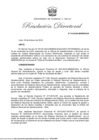 Vista preliminar de documento RD 018