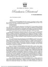 Vista preliminar de documento RD 019