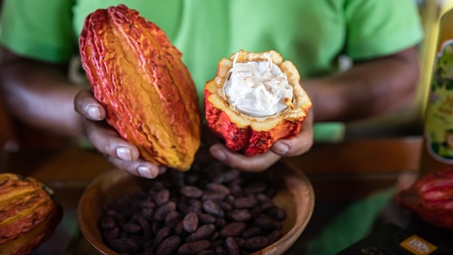 Perú busca impulsar el posicionamiento como origen de cacao fino de aroma y orgánico en Feria Chocoa de Europa 