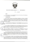 Vista preliminar de documento RGG N 007-2020