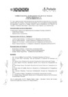 Vista preliminar de documento sesion_15_CONSSAT