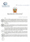 Vista preliminar de documento RD N° 07-01-2022-DE-HCLLH-MINSA