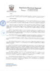 Vista preliminar de documento RDR-239-2023-DREM.M-GRM