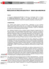 Vista preliminar de documento Resolución Directoral Ejecutiva