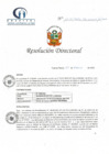 Vista preliminar de documento RD N° 15-01-2022-DE-HCLLH-MINSA