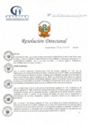 Vista preliminar de documento RD N° 16-01-2022-DE-HCLLH-MINSA