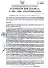 Vista preliminar de documento RSG-0051-2024-SGDP
