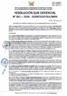 Vista preliminar de documento RSG-0061-2024-SGDP