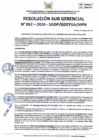 Vista preliminar de documento RSG-0062-2024-SGDP