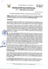 Vista preliminar de documento RSG-0913-2023-SGDP