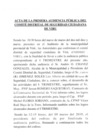 Vista preliminar de documento I_AUDIENCIA_PUBLICA_2019