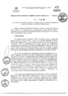 Vista preliminar de documento RGAF_N°004-2023