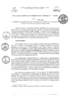 Vista preliminar de documento RGAF_N°007-2023